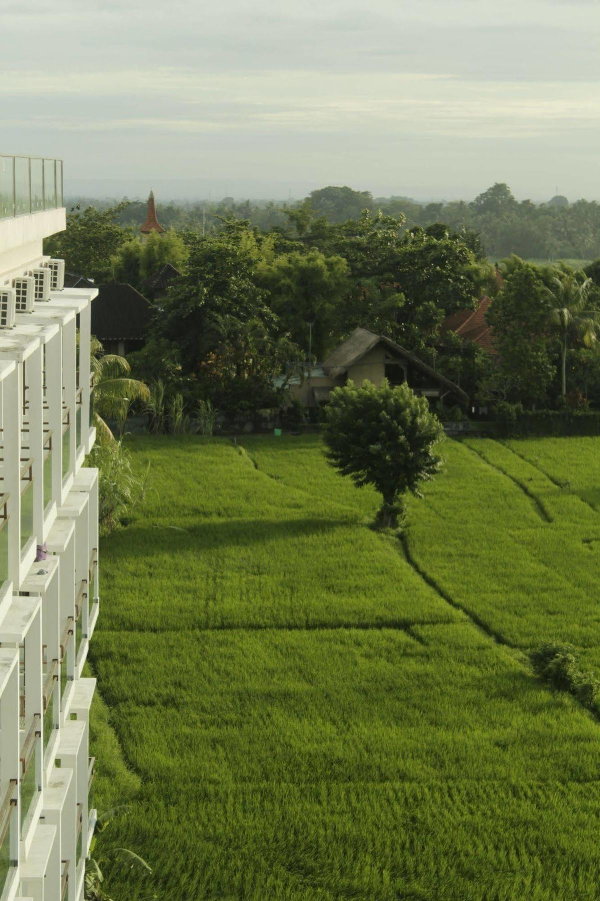 The Evitel Resort Ubud Exterior foto